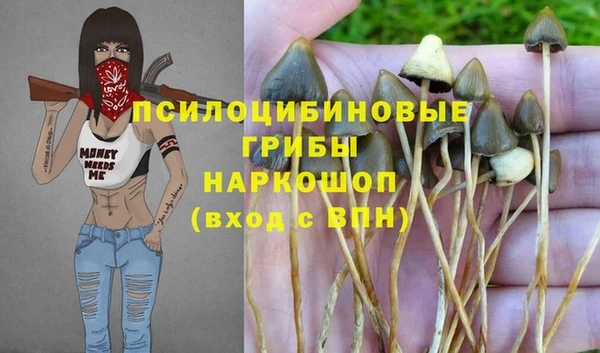 apvp Алексеевка