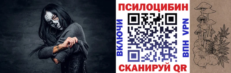 Псилоцибиновые грибы Psilocybe  Яблоновский 